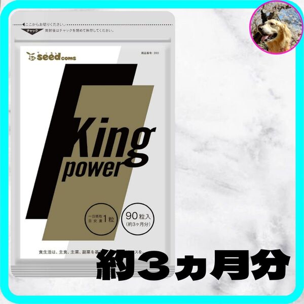 【賞味期限27年5月】20倍濃縮マカ 100倍濃縮トンカットア 約3ヶ月分 90粒 90日分 サプリ