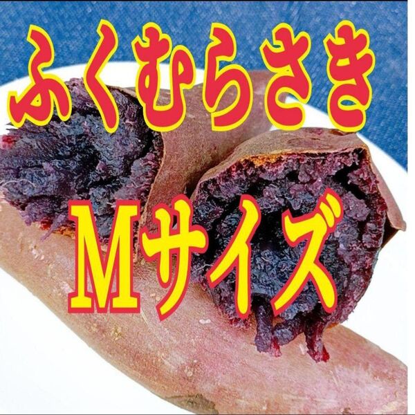 ☆希少☆ 茨城県産 紫芋 ふくむらさき Mサイズ
