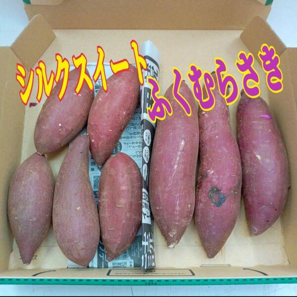 ☆食べ比べ☆ 茨城県産ふくむらさきと 茨城県産 シルクスイート セット