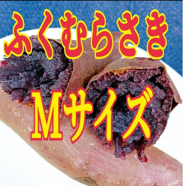 ☆希少☆ 茨城県産 紫芋 ふくむらさき Mサイズ