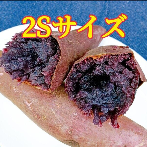 ☆希少☆ 茨城県産 紫芋 ふくむらさき 2Sサイズ
