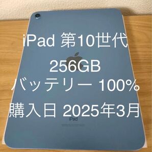 【未使用に近い・美品】iPad 第10世代 Wi-Fi 256GB ブルー MPQ93J/A A2696 動作確認済み