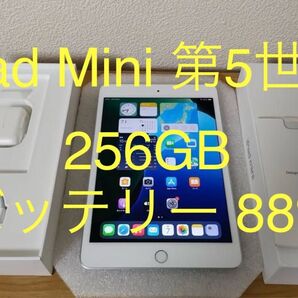 【美品】iPad mini 第5世代 Wi-Fi 256GB シルバー MUU52J/A A2133 動作確認済み