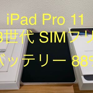 iPad Pro 11インチ 第3世代 Wi-Fi + Cellular SIMフリー 256GB シルバー ケース付き