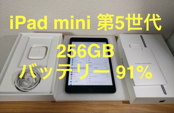iPad mini 第5世代 Wi-Fi + Cellular 256GB スペースグレイ MUXC2J/A 動作確認済み