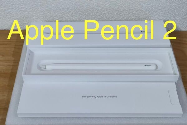 【美品】Apple Pencil 第2世代 純正品 動作確認済み