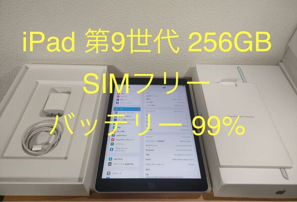 iPad 第9世代 Wi-Fi + Cellular SIMフリー 256GB シルバー MK4H3J/A 動作確認済み