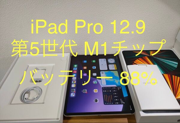 【美品】iPad Pro 12.9インチ 第5世代 Wi-Fiモデル 128GB M1チップ シルバー 動作確認済み