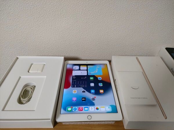 iPad Air 第2世代 Wi-Fi + Cellular 16GB ゴールド MH1C2J/A A1567 動作確認済み