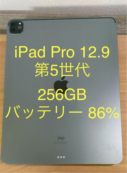iPad Pro 12.9インチ 第5世代 Wi-Fiモデル 256GB M1チップ スペースグレイ 動作確認済み
