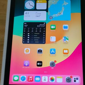 iPad 第6世代 Wi-Fi 128GB スペースグレイ MR7J2J/A A1893 動作確認済み