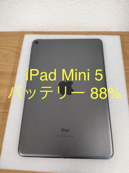 iPad mini 第5世代 Wi-Fi 64GB スペースグレイ MUQW2J/A A2123 ケース付き 動作確認済み