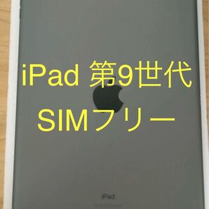 【美品】iPad 第9世代 Wi-Fi + Cellular SIMフリー 64GB スペースグレイ 動作確認済み