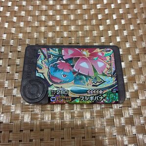 ポケモンフレンダ フシギバナ ワンダーピック