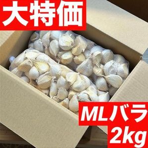 【超セール】青森県産にんにく 2kg MLバラ 福地ホワイト 加工 お得
