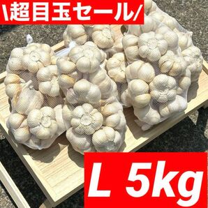 【超目玉セール】青森県産 にんにく L 5kg福地ホワイト六片 加工オススメ