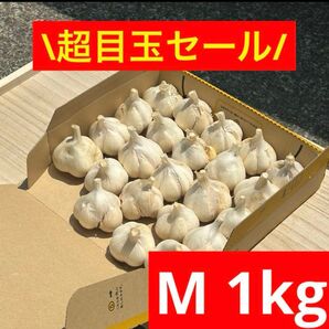 【超目玉セール】青森県産 にんにく M 1kg福地ホワイト六片 加工オススメ
