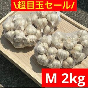 【超目玉セール】青森県産 にんにく M 2kg福地ホワイト六片 加工オススメ