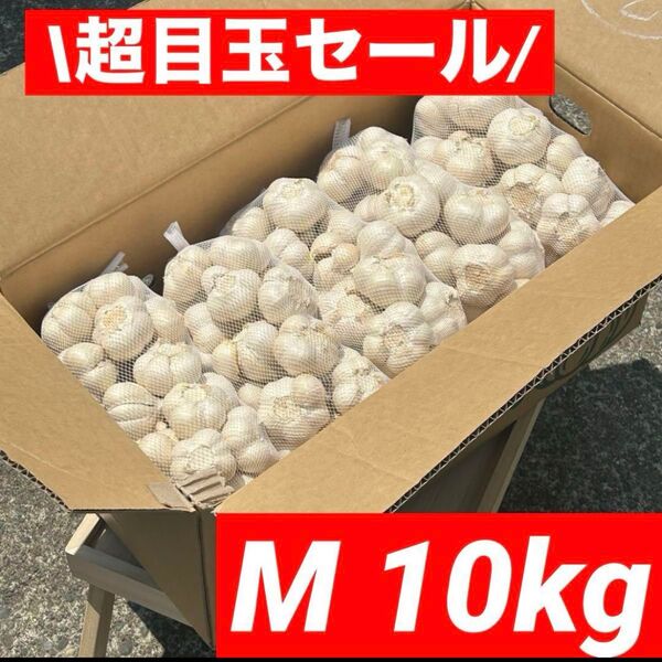 【超目玉セール】青森県産 にんにく M 10kg福地ホワイト六片 加工オススメ