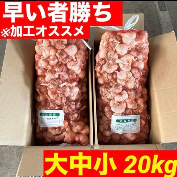 【早い者勝ち】青森県産 にんにく 玉 20kg 福地ホワイト 加工 訳あり