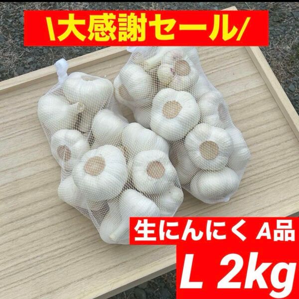 【大感謝セール】新物 青森県産 生にんにく A品 L 2kg福地ホワイト六片