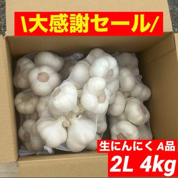 【期間限定】新物 青森県産 生にんにく A品 2L 4kg福地ホワイト六片