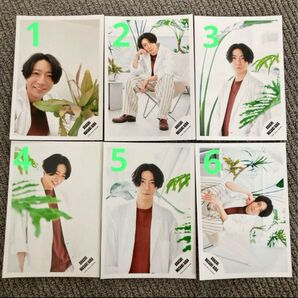 嵐 相葉雅紀 2021年 ポートレート A 公式写真 12枚セット