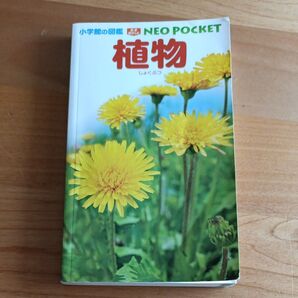 小学館の図鑑NEO POCKET 植物 しよくぶつ