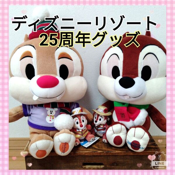 ディズニーリゾートグッズ 25周年記念ぬいぐるみ チップとデール キーホルダー