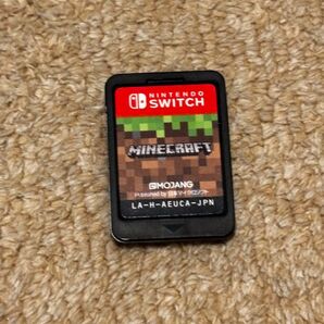 Nintendo Switch マインクラフト ソフトのみ