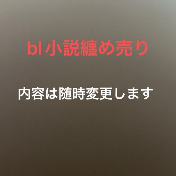 bl小説纏め売り13冊セット【イラストカード、コミコミ特典】付き