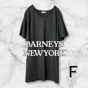 BARNEYS NEWYORK(バーニーズニューヨーク)ワンピース チュニック ボリュームスリーブ 厚手 Vネック Fサイズ 半袖