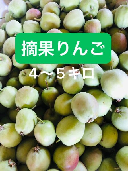 青森県産訳あり”加工用摘果りんご”4〜5キロ