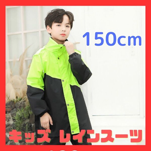 レインコート キッズ レインスーツ 150cm 上下 緑 黒 自転車 リュック対応 ランドセル対応 雨具 防水 大きめサイズ
