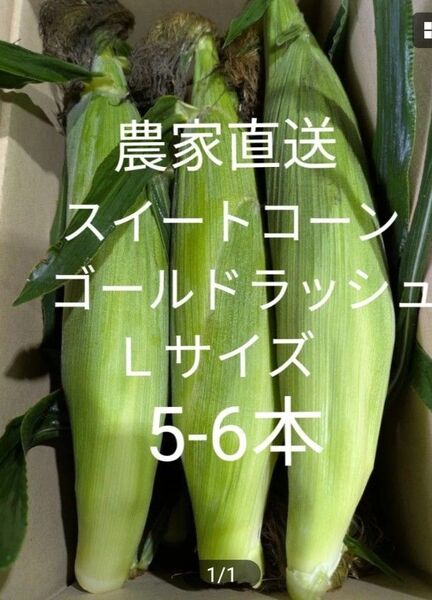 スイートコーン ゴールドラッシュ Lサイズ 箱込み約2kg