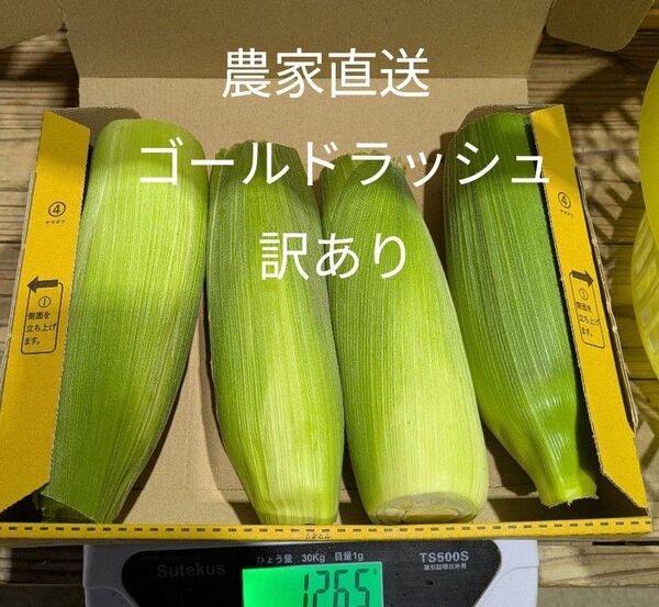 とうもろこし ゴールドラッシュ 訳あり コンパクト便