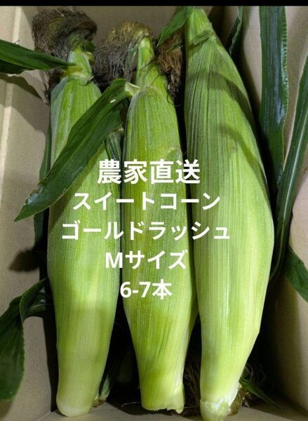 スイートコーン ゴールドラッシュ Mサイズ 箱込み約2kg