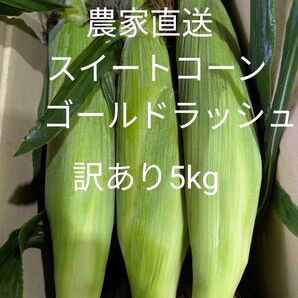 ゴールドラッシュ とうもろこし 訳あり、箱込み約5kg
