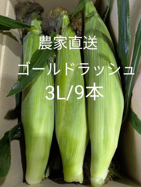 スイートコーン ゴールドラッシュ 農家直送 3L/9本