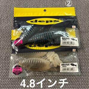 ② デプス ブルフラット 4.8インチ