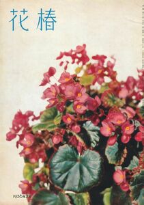 花椿　昭和31年2月号（復刊68号） 資生堂出版部　土方與志「新劇の歩み」、「新劇女優の一日　岸田今日子さんとともに」「靴下のおしゃれ」