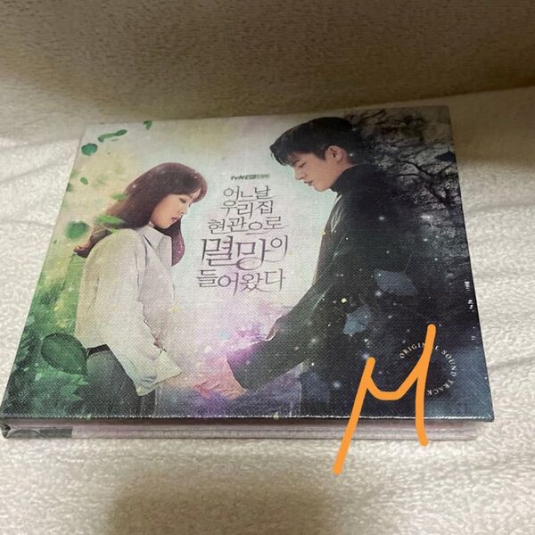 ソイングク主演 ある日、私の家の玄関に滅亡が入ってきた 韓国版 OST 韓国ドラマ