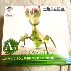 一番くじ昆虫 A賞 ニセハナマオウカマキリ フィギュア◆世界の昆虫だいしゅうごう!◆検索用ラストワン、いきもの大図鑑アドバンス