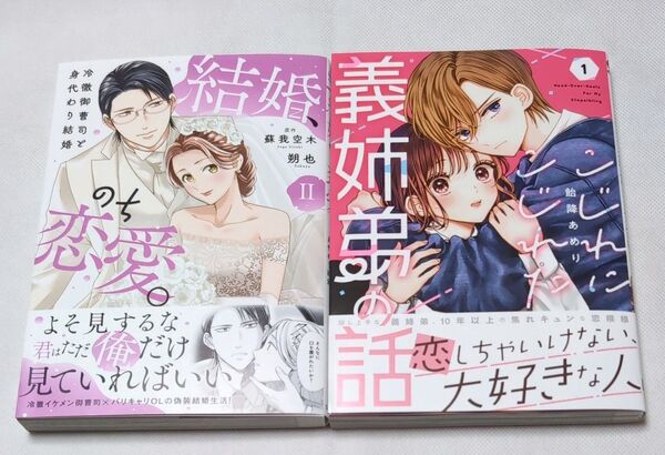 こじれにこじれた義姉弟の話 1 / 結婚、のち恋愛。 2