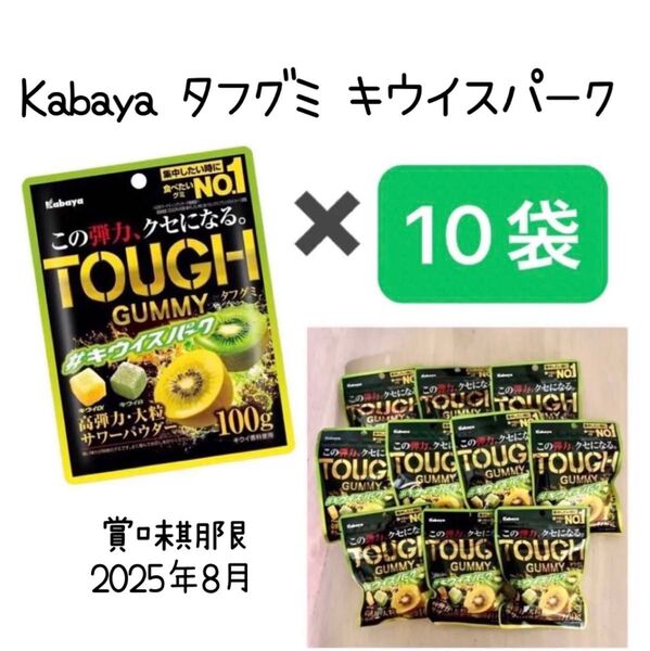 Kabaya カバヤ タフグミ キウイスパーク 100g × 10袋