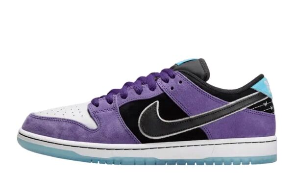 Hayley Wilson × Nike SB Dunk Low Pro "Black and Court Purple"