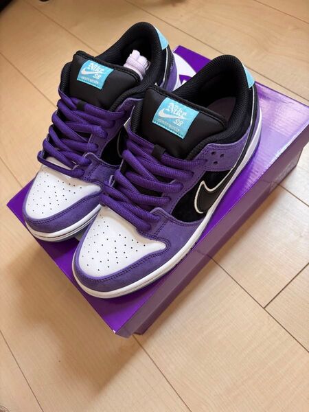 Hayley Wilson × Nike SB Dunk Low Pro
