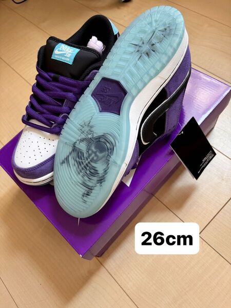 Hayley Wilson Nike SB Dunk Low Pro