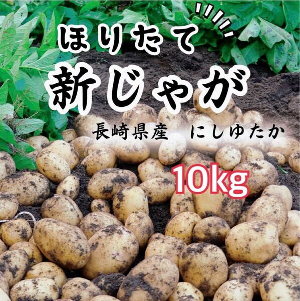 農家直送 長崎県産 新じゃが にしゆたか 10キロ
