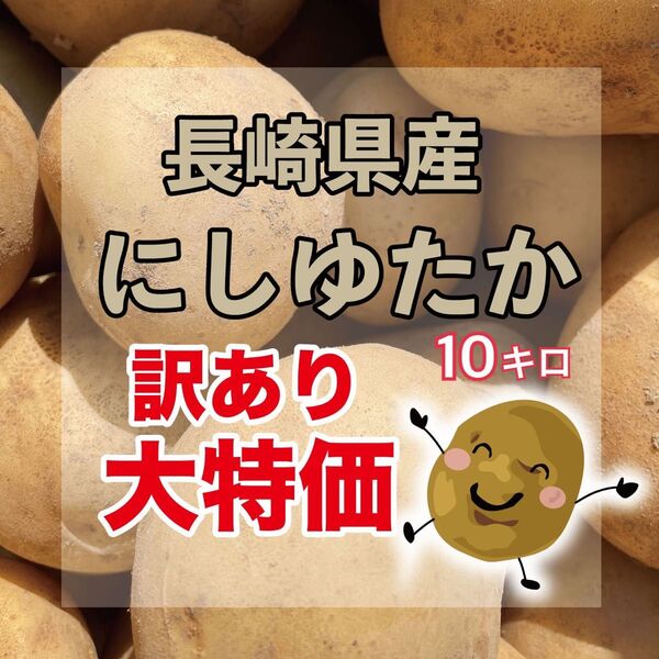 長崎県産 新じゃが にしゆたか 10キロ 訳あり